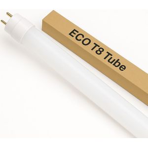 LED T8 TL Buis 24W | 150cm | Vervangt 58W | Eco serie | 6400K - Daglicht wit (865)