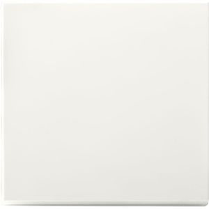 iON industries Tastdimmer Knop | V1/J1 | Mat Alpin Wit