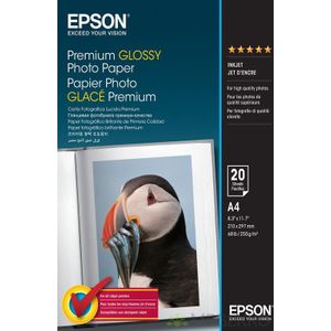 Epson Premium Glossy Photo Paper, DIN A4, 255g/m², 20 Vel