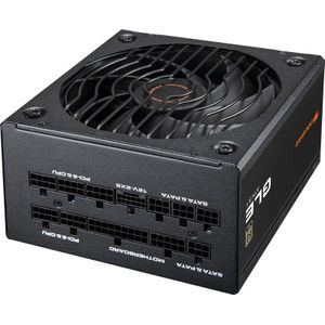 COUGAR Gaming CGR GLE-1000 power supply unit 1000 W 20+4 pin ATX ATX Zwart