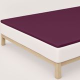 schlafgut Jersey Pure topper hoeslaken - Eenpersoons - L - 140x200 - 160x220 542 Purple Mid