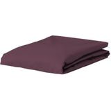 ESSENZA Premium Percale Hoeslaken Antraciet - 90x210 cm