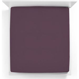 Bella Donna Alto Boxspringhoeslaken Lits-Jumeaux XL violett-0546 200x220-200x240