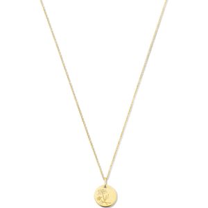 Violet Hamden | Gouden plating/Zilver Goud Ketting met geboortesteen Juli | Dames | Venus | VH340025-JUL