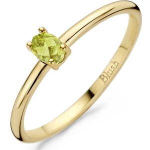 Blush 14 Karaat Gouden Ring 1204YGP/52