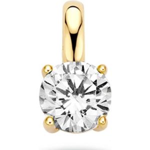 Blush - 14 Karaat Hanger - Goud - Goud