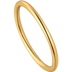 Ania Haie Gold Collection 14 karaat Gouden Ring AH-RAU001-06YG-54