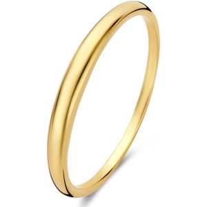 Isabel Bernard Rivoli Maryn 14 Karaat Gouden Ring IB330099-60