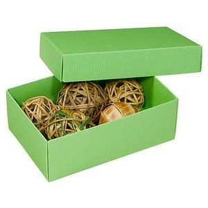 3 BUNTBOX M Geschenkboxen 1,1 l grün 17,0 x 11,0 x 6,0 cm
