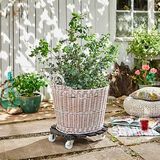 WAGNER® design yourself Pflanzenroller WPC GH 0565 Kunststoff anthrazit rund 50,0 x 11,0 cm