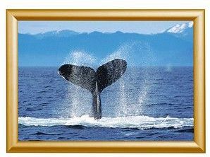 Showdown® Displays  Klapprahmen gold 32,8 x 45,1 cm