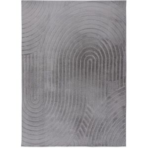 Japandi Vloerkleed | Tapijt | Comfort | Bogen | Zilver | 80x150 cm