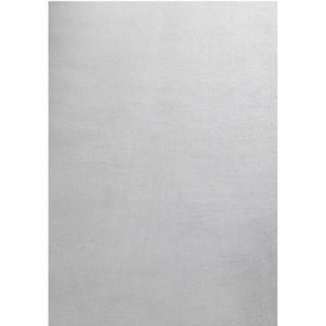 Zacht Laagpolig Vloerkleed | Tapijt | Sky | Zilver | 200x290 cm