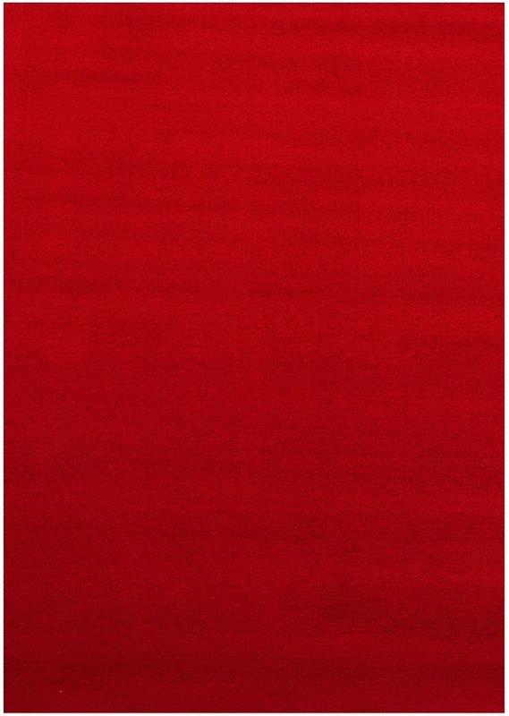 Zacht Laagpolig Vloerkleed | Tapijt | Sky | Rood | 200x290 cm