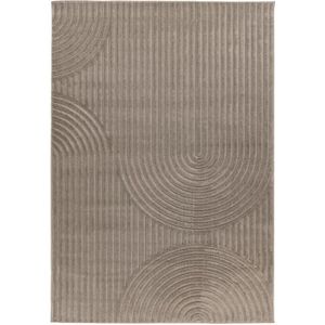 Japandi Vloerkleed | Tapijt | Viva | Zilver | 80x150 cm