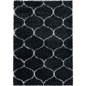 Hoogpolig Vloerkleed | Tapijt | Shaggy | Salsa | Antraciet | 240x340 cm