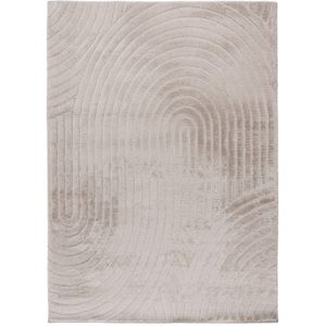 Hides - Japandi Vloerkleed - Licht Taupe - Polyester - 160x230 cm