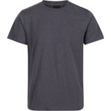 Regatta Heren Pro Cotton Soft Touch T-Shirt (4XL) (Afdichting Grijs)