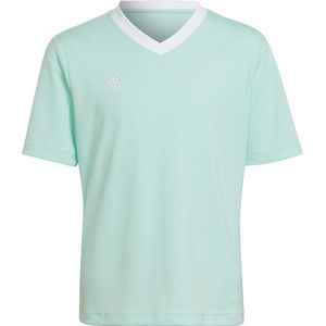 adidas - Entrada 22 Jersey Youth - Kids Voetbalshirt - 128