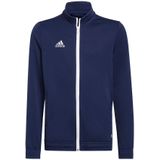 adidas - Entrada 22 Track Jacket Youth - Blauw Trainingsjack - 164