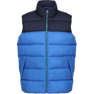 Regatta Heren Vintage Colour Block Gilet (L) (Sterk Blauw/Navy)