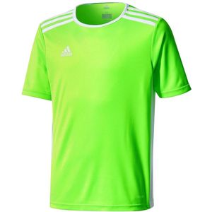 adidas - Entrada 18 Jersey JR - Sportshirt Kids - 116