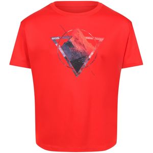 Regatta Kinderen/Kinderen Alvarado VI Berg T-shirt (104) (Vuurrood)