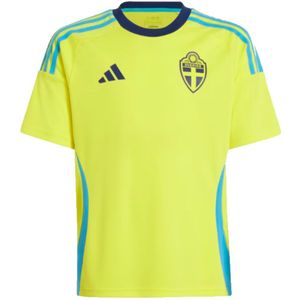 2024-2025 Sweden Home Fan Shirt (Kids)