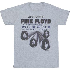 Pink Floyd Meisjes Japans Omslag Katoen T-Shirt (116) (Sportgrijs)