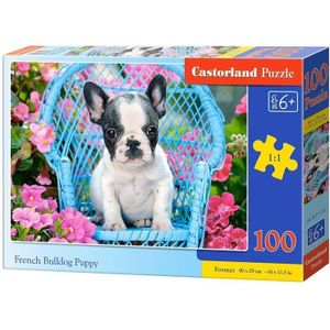 Puzzel Castorland - Franse Bulldog Puppy, 100 stukjes