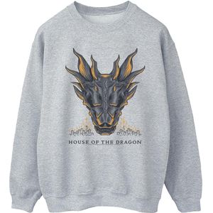 Game Of Thrones: House Of The Dragon Heren Dragon Flames Sweatshirt (S) (Sportgrijs)