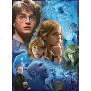 Harry in Hogwarts Puzzel (500 stukjes, Harry Potter thema)