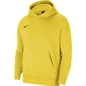 Nike Junior Park 20 Fleece Children's Sweatshirt CW6896-719