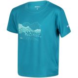 Regatta Kinderen/Kinderen Alvarado VI Berg T-shirt (158) (Emailleblauw)