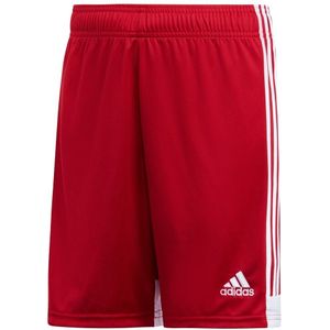 adidas - Tastigo 19 Short Youth - Voetbalbroekje Kids - 128