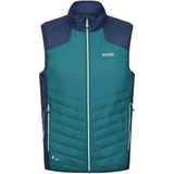 Regatta Heren Halton VI Lichtgewicht Body Warmer (M) (Pacific Groen/Admiraal Blauw)