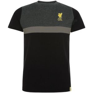 Liverpool FC Kinder/Kinder Paneel T-Shirt (116) (Zwart/Charcoal/Goud)