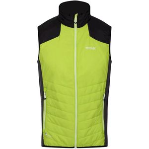 Regatta Heren Halton VI Lichtgewicht Body Warmer (S) (Helder kiwi/zwart)