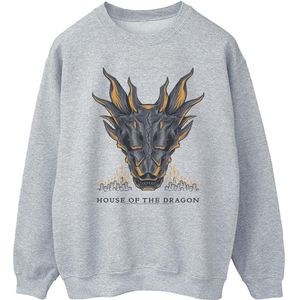 Game Of Thrones: House Of The Dragon Mens Dragon Flames Sweatshirt