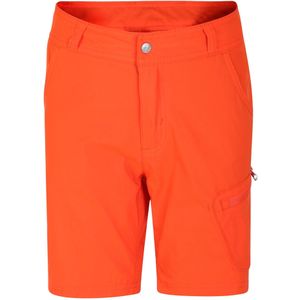 Dare 2B Kinder/Kids Reprise II Korte broek (116) (Trail Blaze Red)