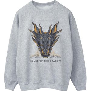 Game Of Thrones: House Of The Dragon Dames/Dames Dragon Flames Sweatshirt (L) (Sportgrijs)