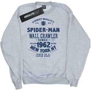 Marvel Jongens Spider-Man Sweatshirt van de Beste Kwaliteit (128) (Sportgrijs)