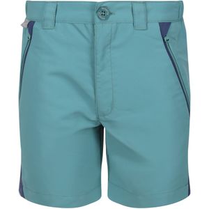 Regatta Kinderen/Kinderen Sorcer Mountain III Korte broek (146-152) (Bristolblauw/Dusty Denim)