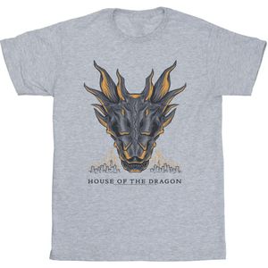 Game Of Thrones: House Of The Dragon Heren Draak Vlammen T-Shirt (S) (Sportgrijs)