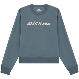 Dickies Dames/Dames Wordmark Zwaargewicht Sweatshirt met Crew Hals (XL) (Stormachtig weer)