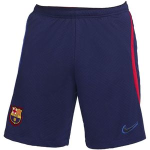 2021-2022 Barcelona Training Shorts (Blue)