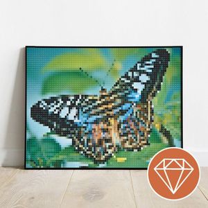 Tropische vlinder - Diamond painting - Special edition