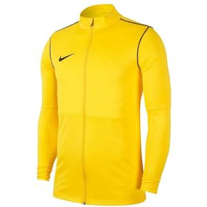 Nike Dry Park 20 Training Sweatshirt BV6885-719