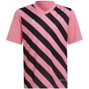 adidas - Entrada 22 GFX Jersey Youth - Roze Voetbalshirt - 140