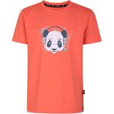 Dare 2B Kinderen/Kinderen Trailblazer Grafisch T-Shirt (146-152) (Neon Peach)